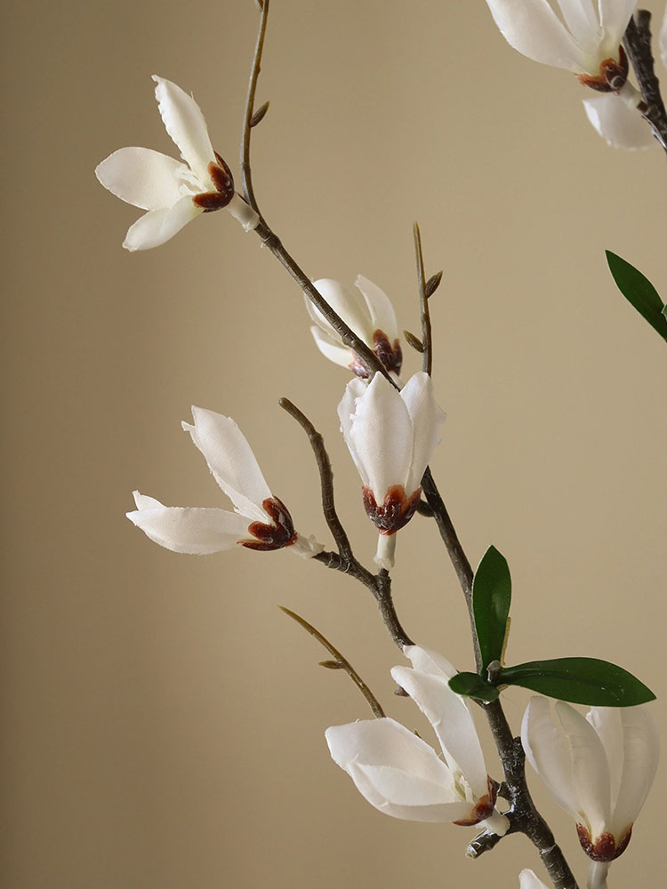 White Star Magnolia Branch | Botane | Catalog Interiors UK