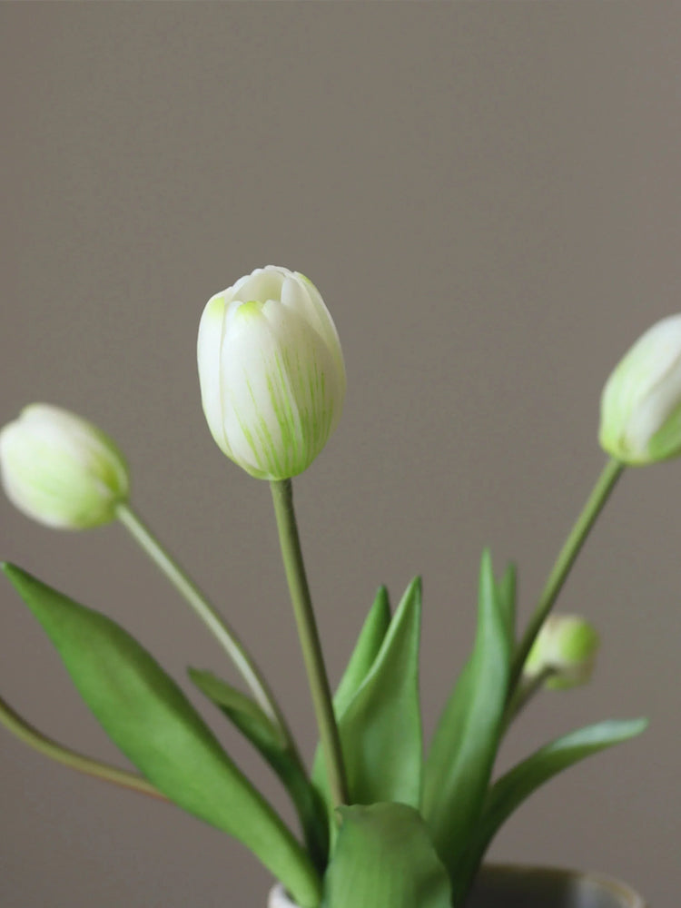 White Tulip Bundle | Botane | Catalog Interiors UK