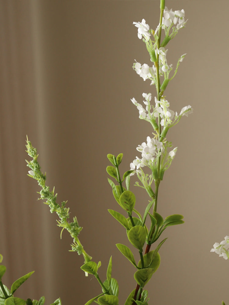 White Wild Flower