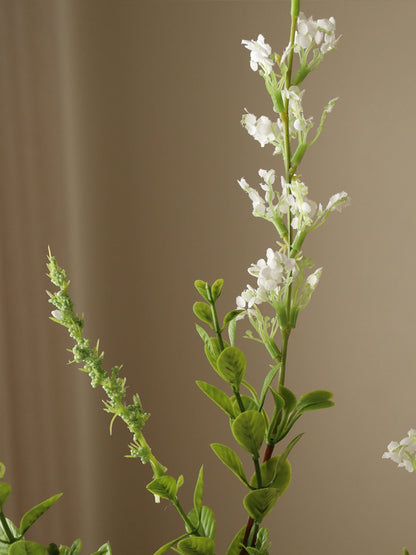 White Wild Flower