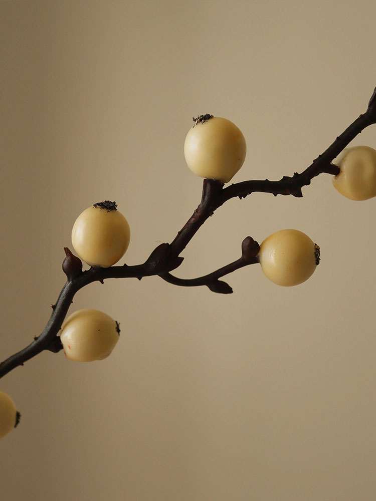 White Winterberry Branch | Botane | Catalog Interiors UK