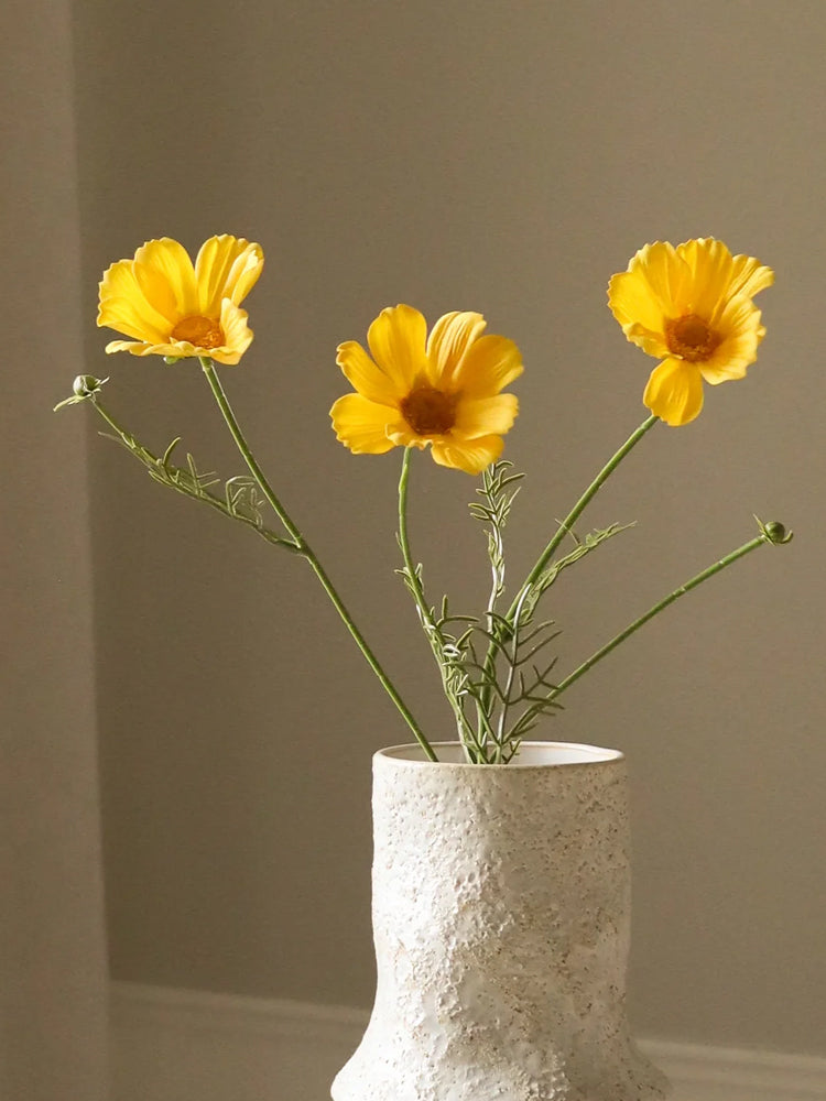 Yellow Cosmo Daisy Flower