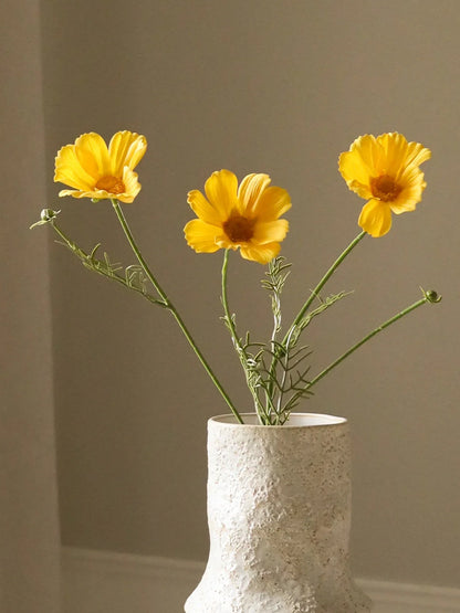 Yellow Cosmo Daisy Flower