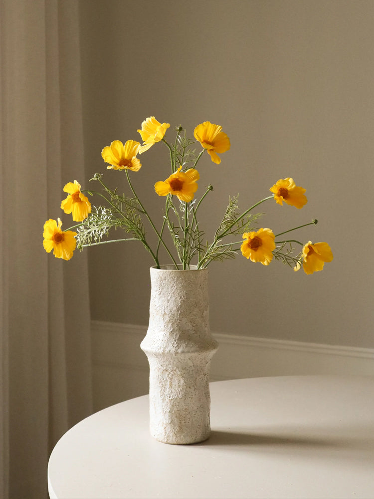 Yellow Cosmo Daisy Flower