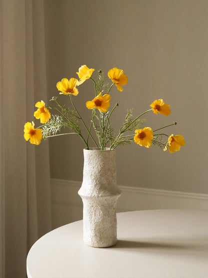 Yellow Cosmo Daisy Flower