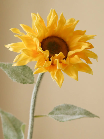 Yellow Pacino Sunflower