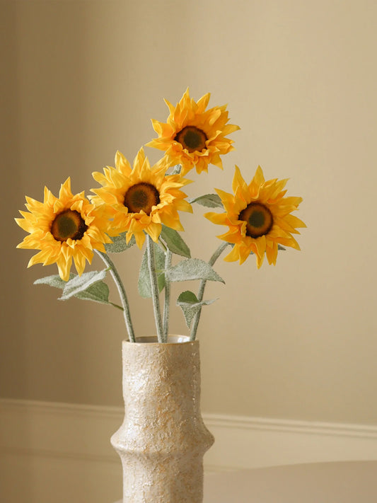 Yellow Pacino Sunflower