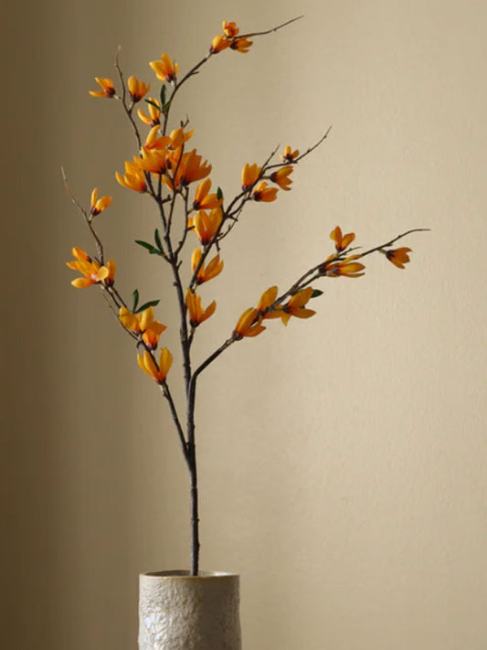 Yellow Star Magnolia Branch